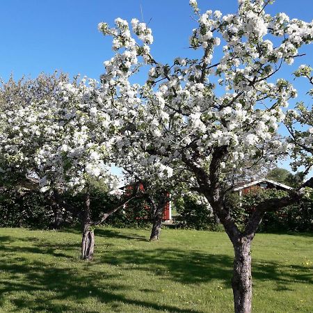 Mellomgarden Villa Norra Lundby Dış mekan fotoğraf