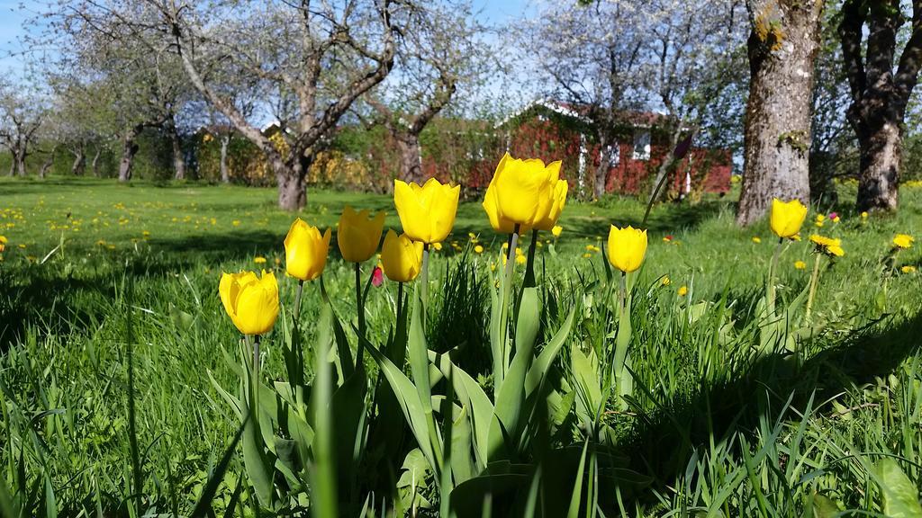 Mellomgarden Villa Norra Lundby Dış mekan fotoğraf
